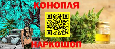 Альфа ПВП Ачхой-Мартан
