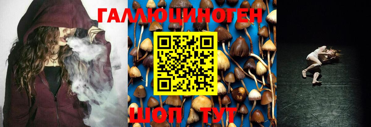 дарнет шоп  Вход с VPN  Вольск  Галлюциногенные грибы Psilocybine cubensis 