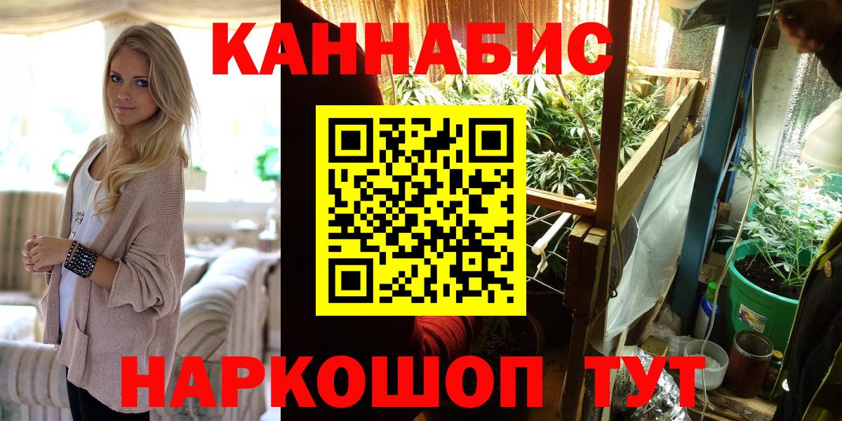 Канабис сатива Вольск